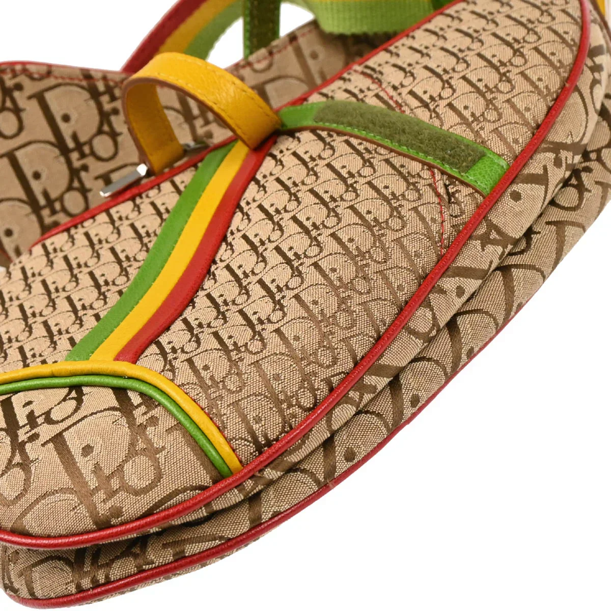 Christian Dior 2004 Rasta Trotter Saddle Handbag - Image 5