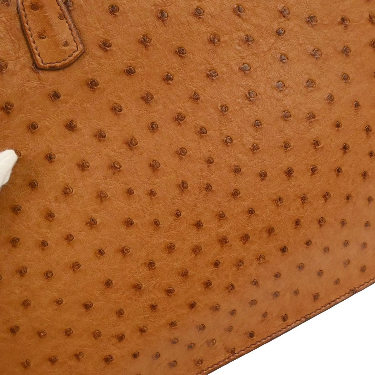 Hermes * Chestnut Ostrich White Bus PM Tote Bag - Image 3