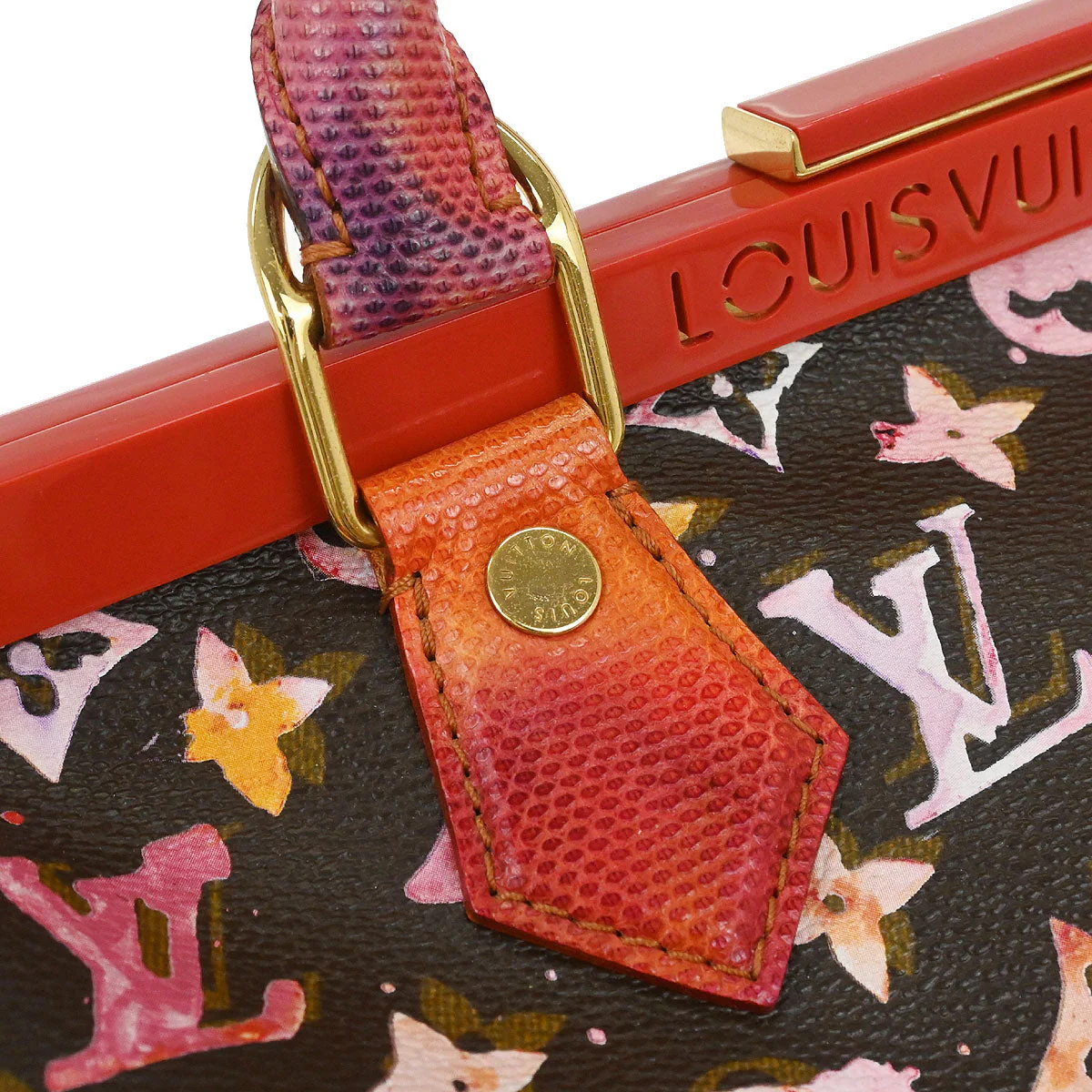 Louis Vuitton 2008 Monogram Watercolor Papillon Frame Handbag M95730 - Image 4