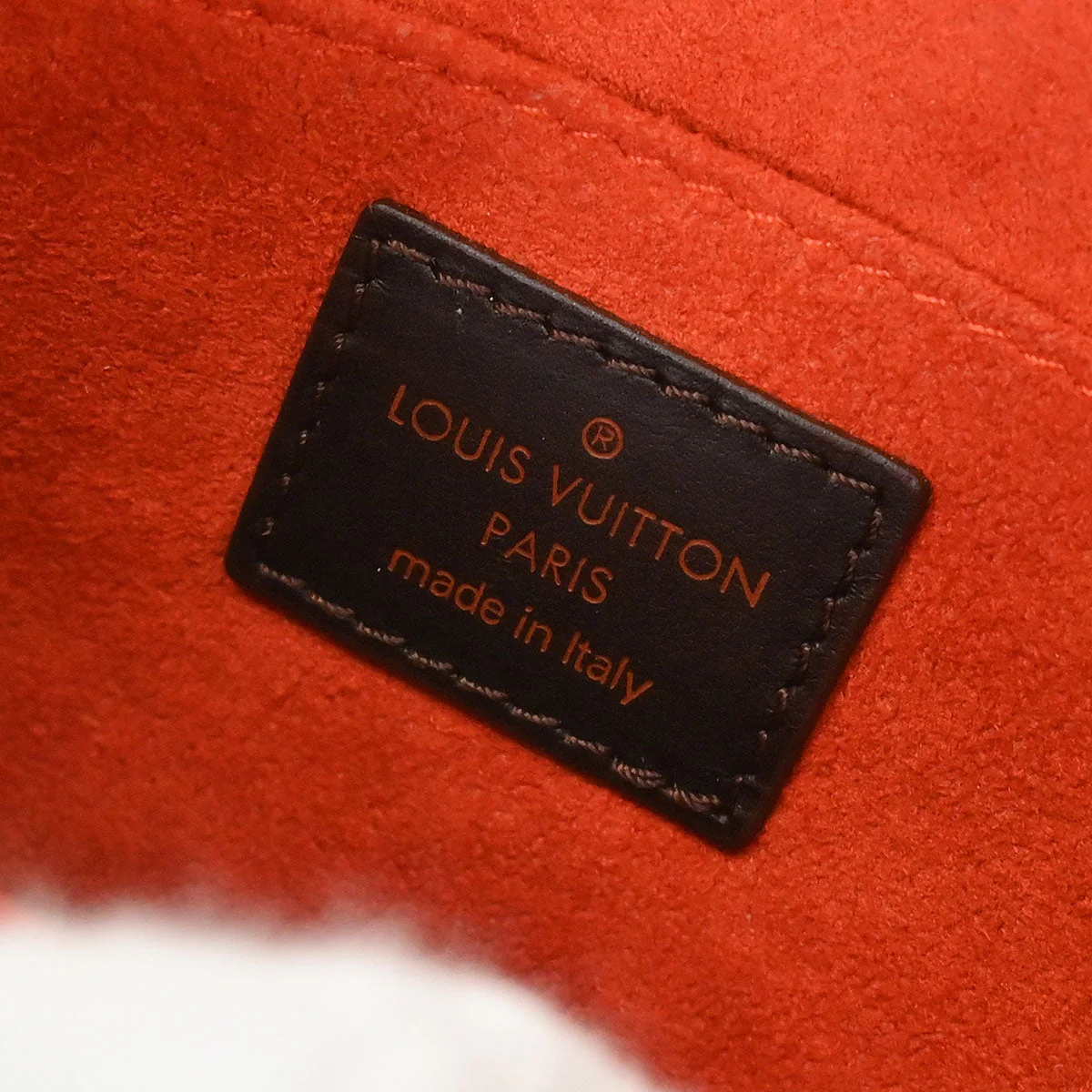 Louis Vuitton * Damier Sauvage Tiger Handbag M92132 - Image 9