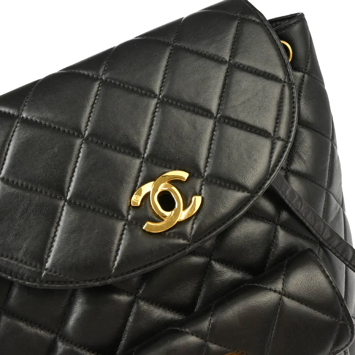 Chanel Black Lambskin Large Duma Backpack - Image 6