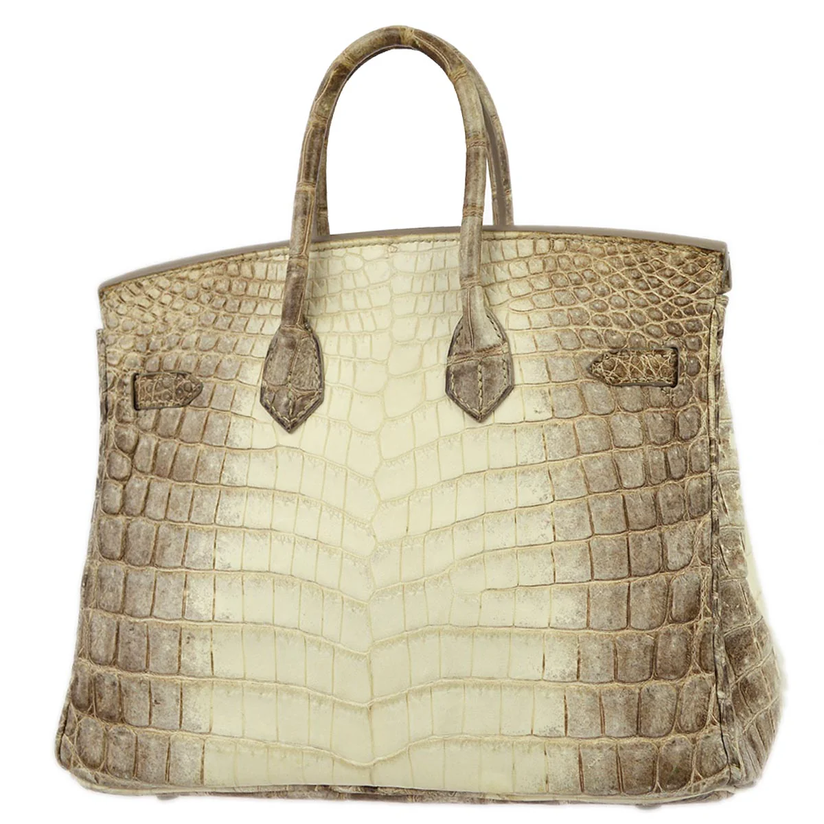 Hermes * 2012 Matte Niloticus Himalaya Birkin 25 Handbag - Image 2