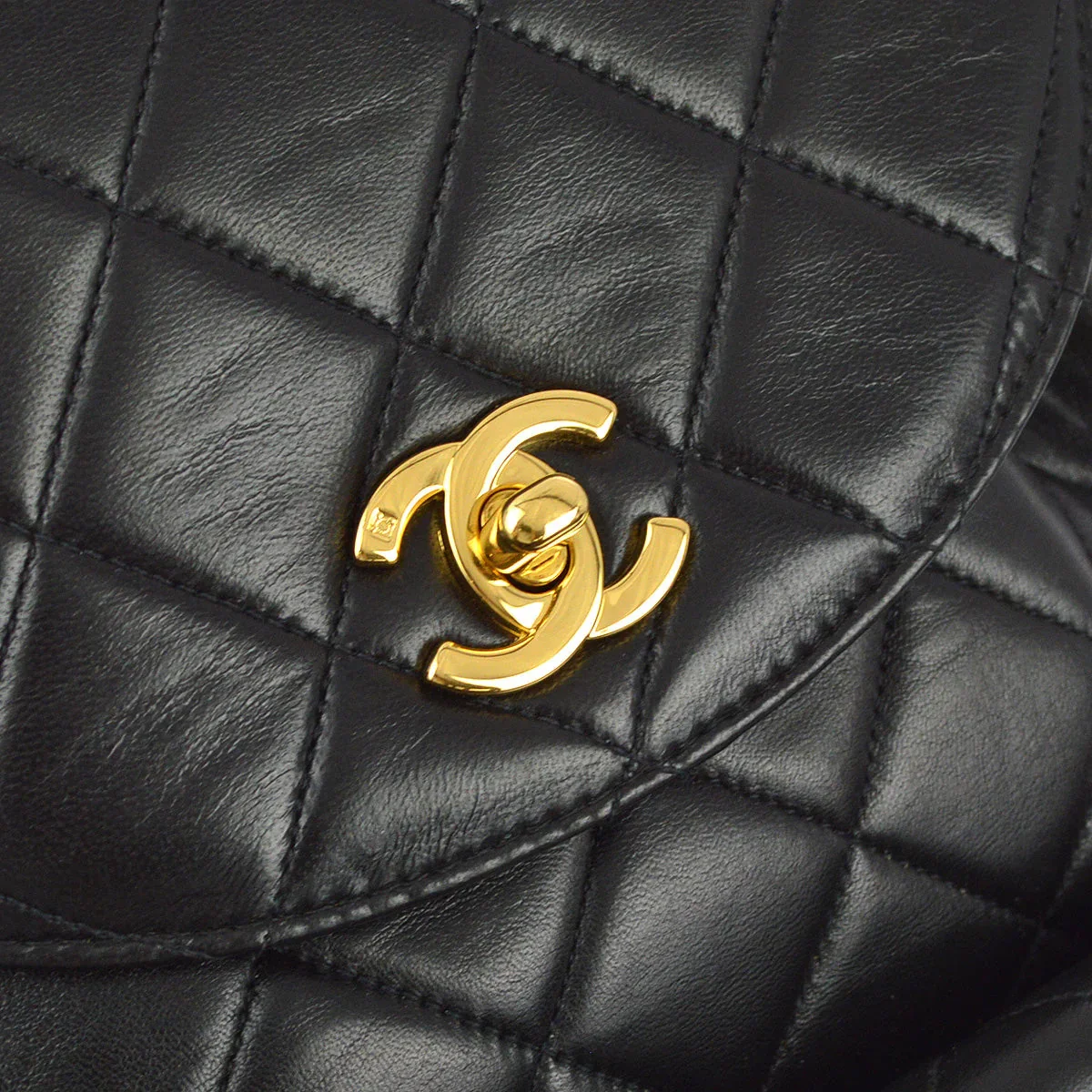 Chanel Black Lambskin Large Duma Backpack - Image 5