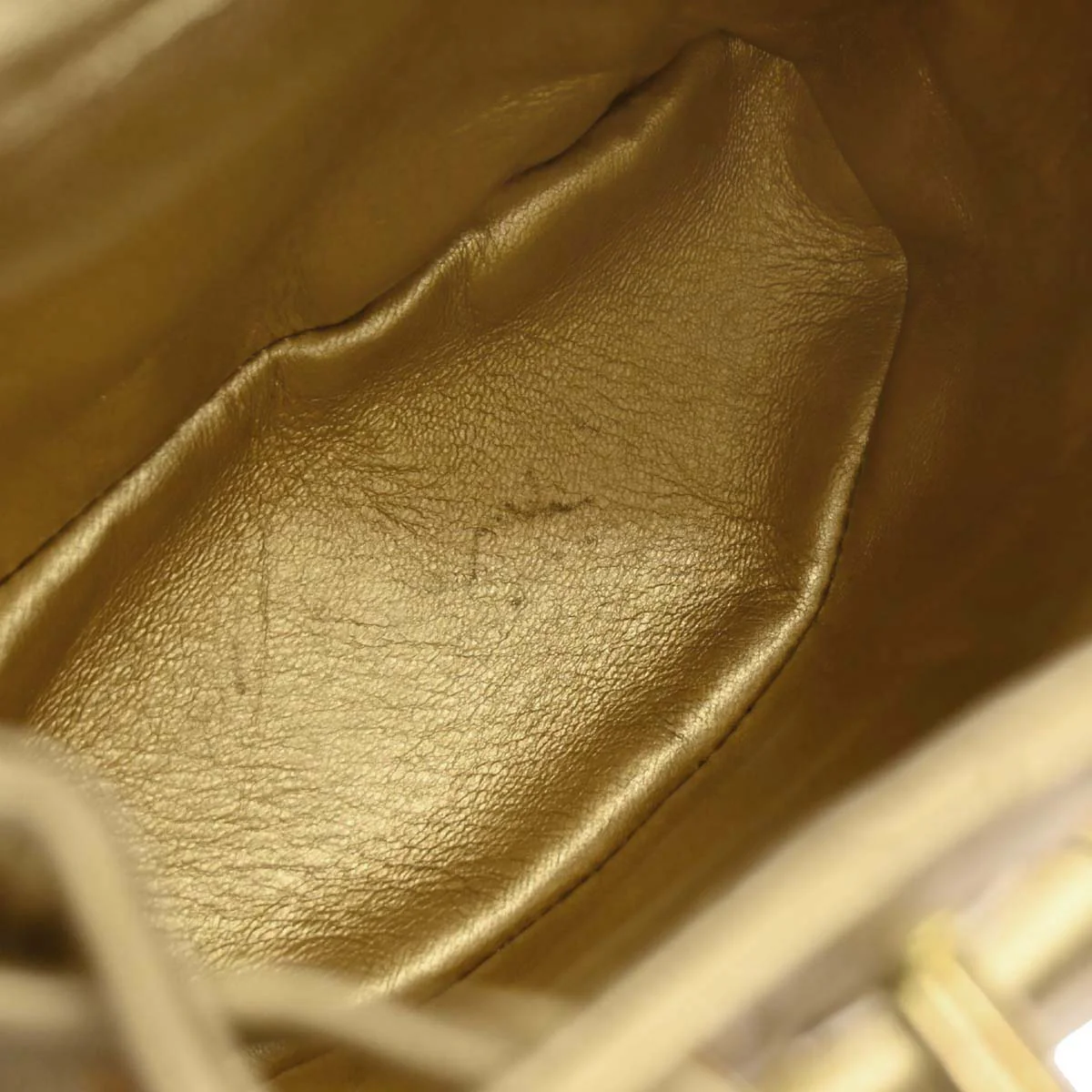 Chanel Gold Lambskin Duma Backpack Small - Image 19
