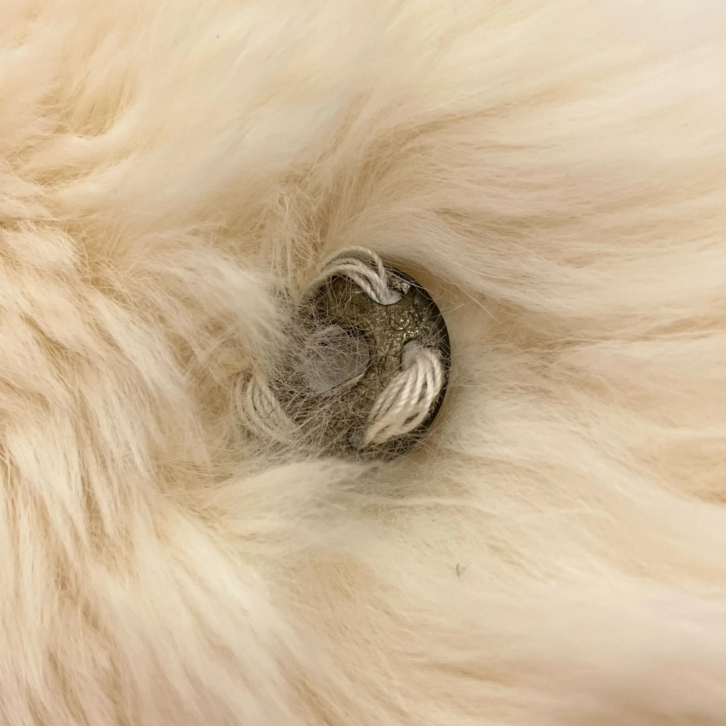 Chanel Fur Shawl Muffler Stole White Small Good - Image 5